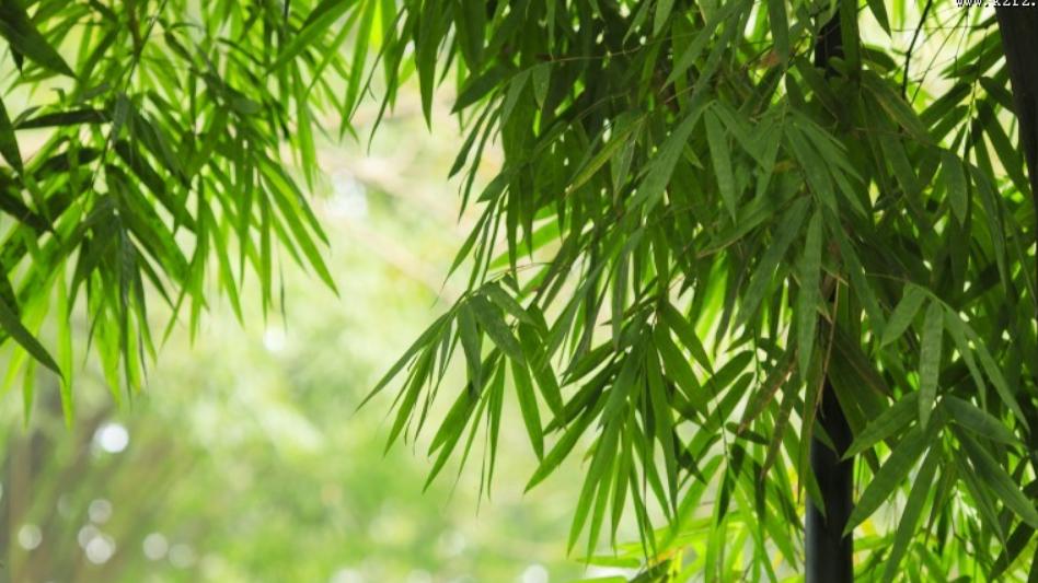 |并不是所有00后都能拯救职场，说说我的经历