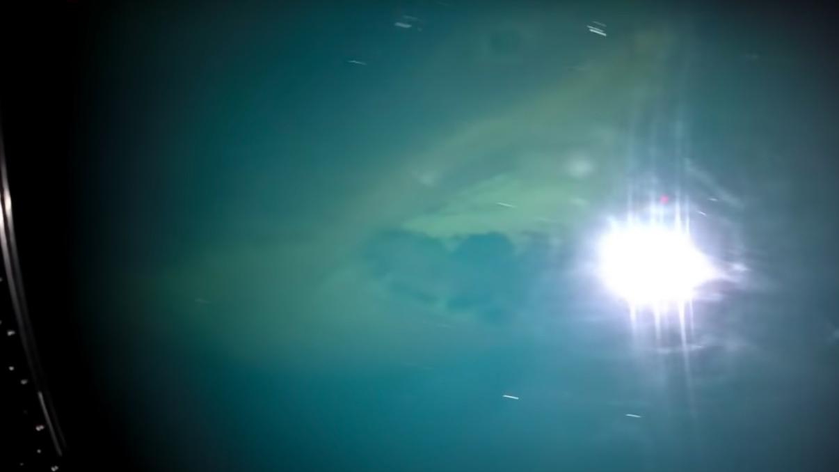 澳洲探险者在废墟发现：被福尔马林浸泡的大白鲨，它经历太多磨难