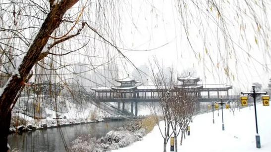 昆明|21年女子跳过中介和房主签约，拒绝支付中介费，称：想钱想疯了？