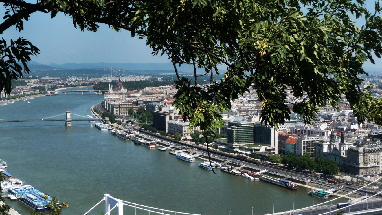 快递员|职场上最大的损失是什么？