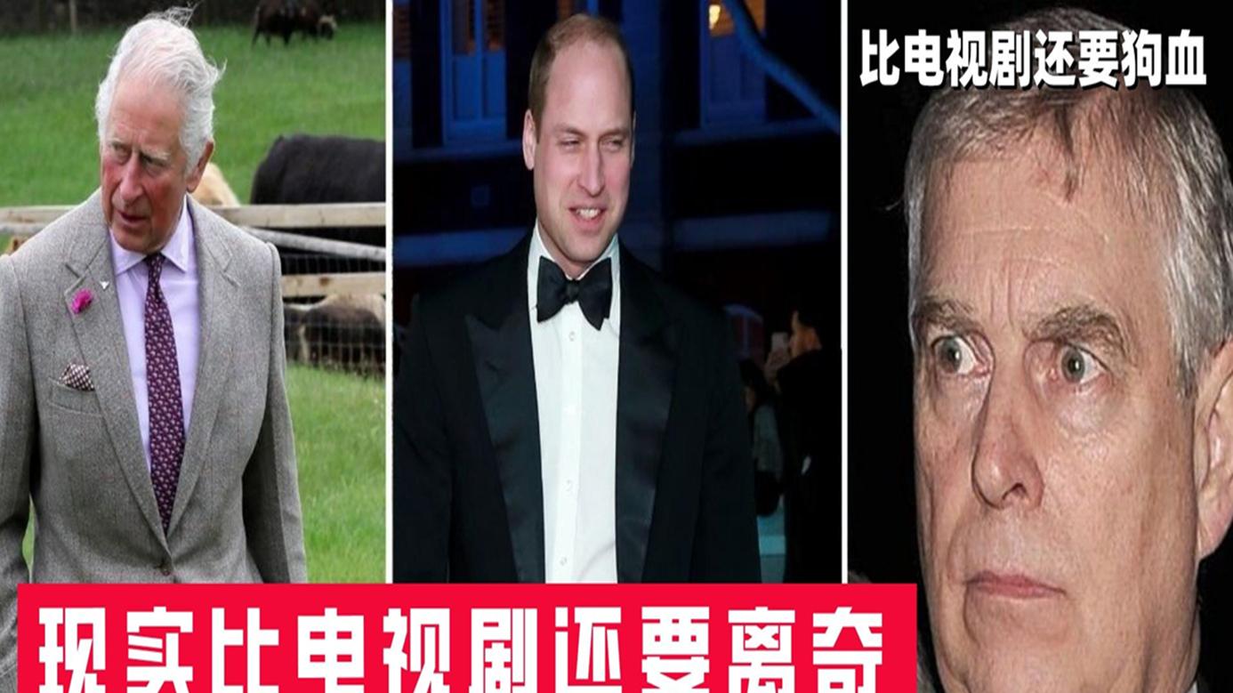 安德鲁王子|现实比电视剧还要离奇，安德鲁王子和戴安娜王妃曾密谋“夺权”