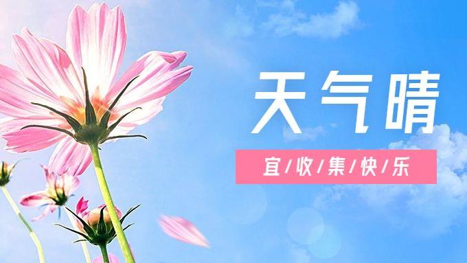 激光电视|收藏！值得推荐的好用视频剪辑软件？