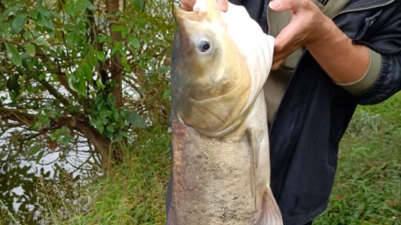 饵料|新手钓友升级为老鸟，需要注意几个细节，都做到了就成功晋级