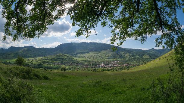 人类是如何演化出来的？