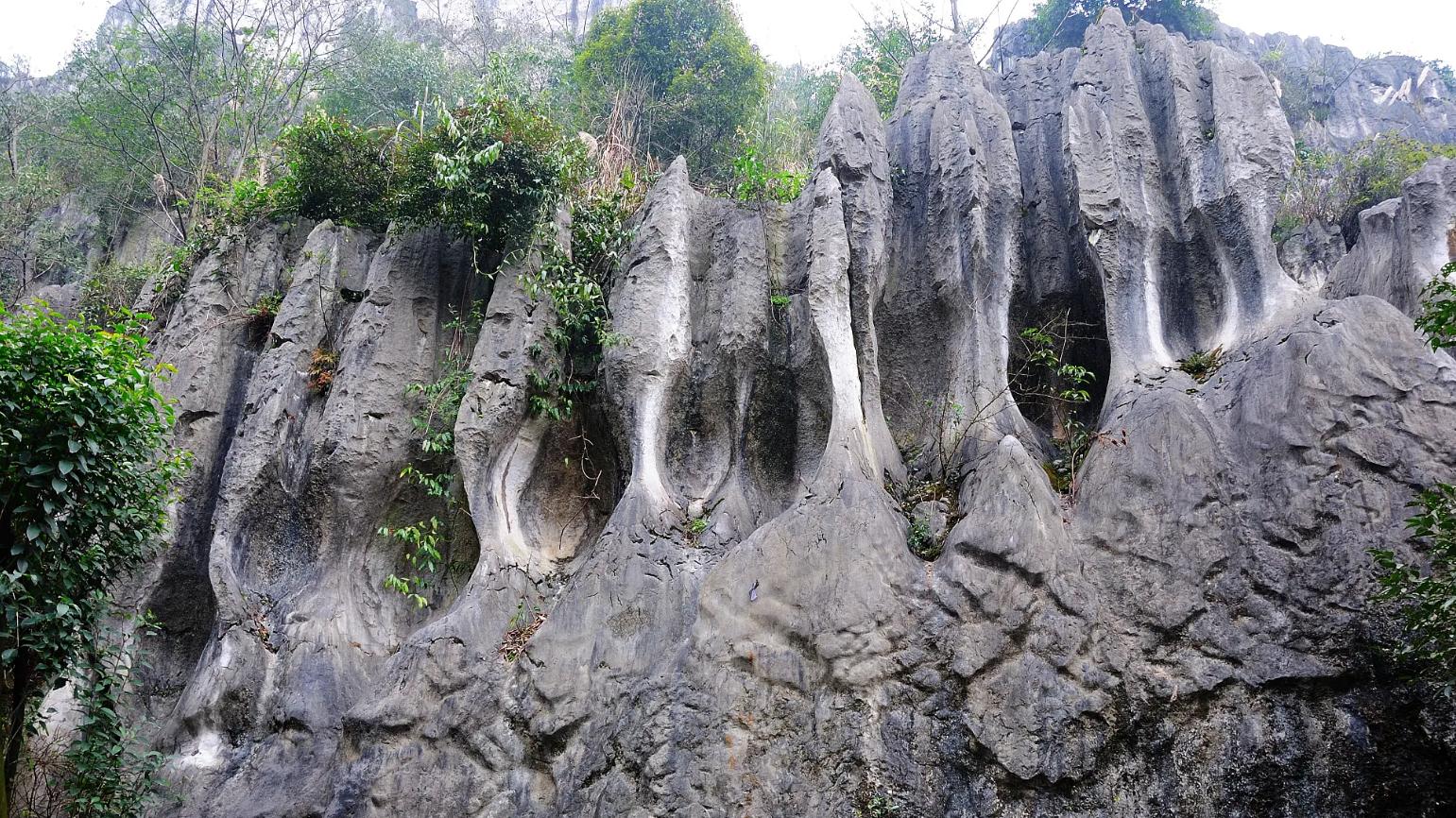 导游|成都“酒香”小城：满城醉香，历史悠久，自驾3h直达