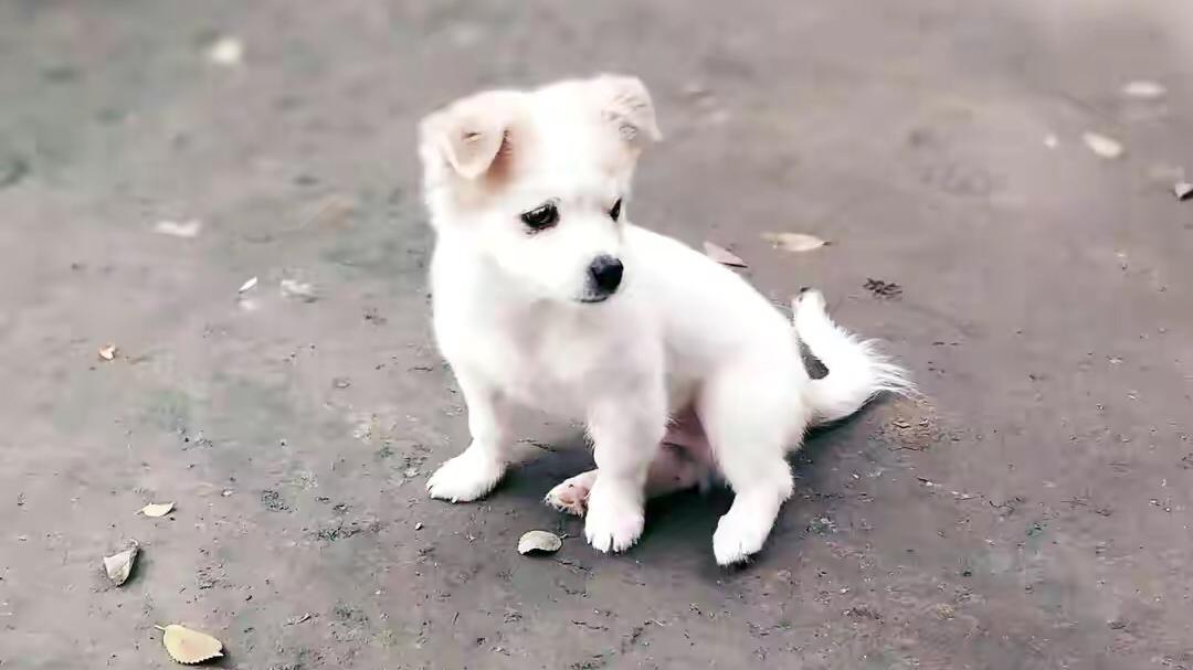 众包|靠谱的新手小白网络兼职