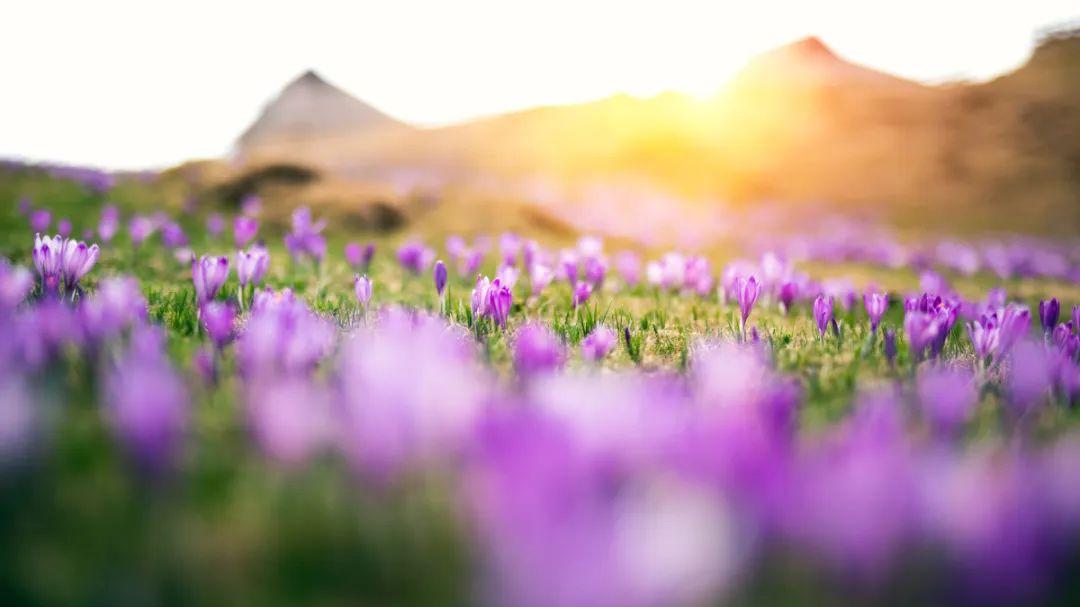 有望冲击3450点！