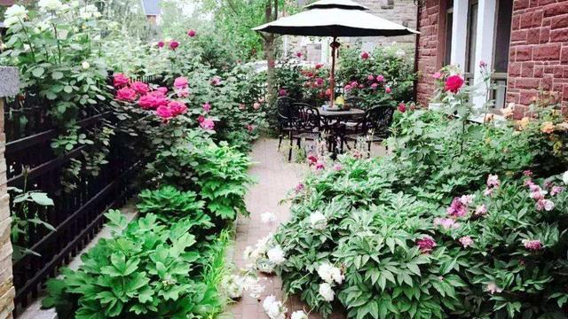 福州|都说一楼带院子好，可以打造小花园，但两年后，那叫一个苦不堪言