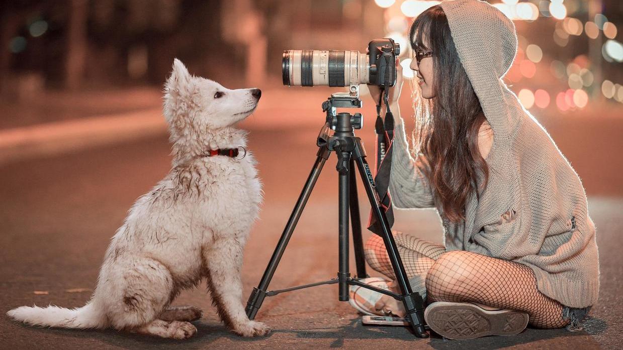 域名|有什么自媒体兼职副业可以一天收入100元？