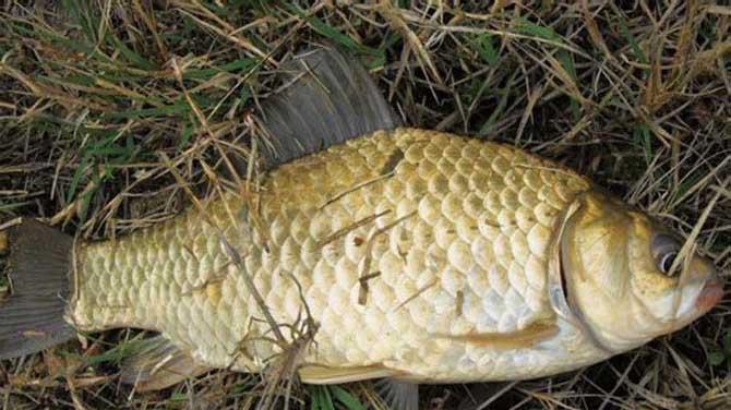 |钓鱼的大忌讳，你知道几个呢