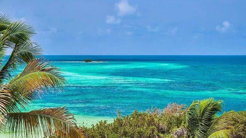 美丽|美丽的佛罗里达州，承包了我一年份的幸福！