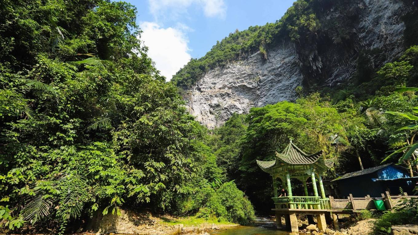 通灵大峡谷|地球上最绿的瀑布，还是植物的王国，在广西你去过吗