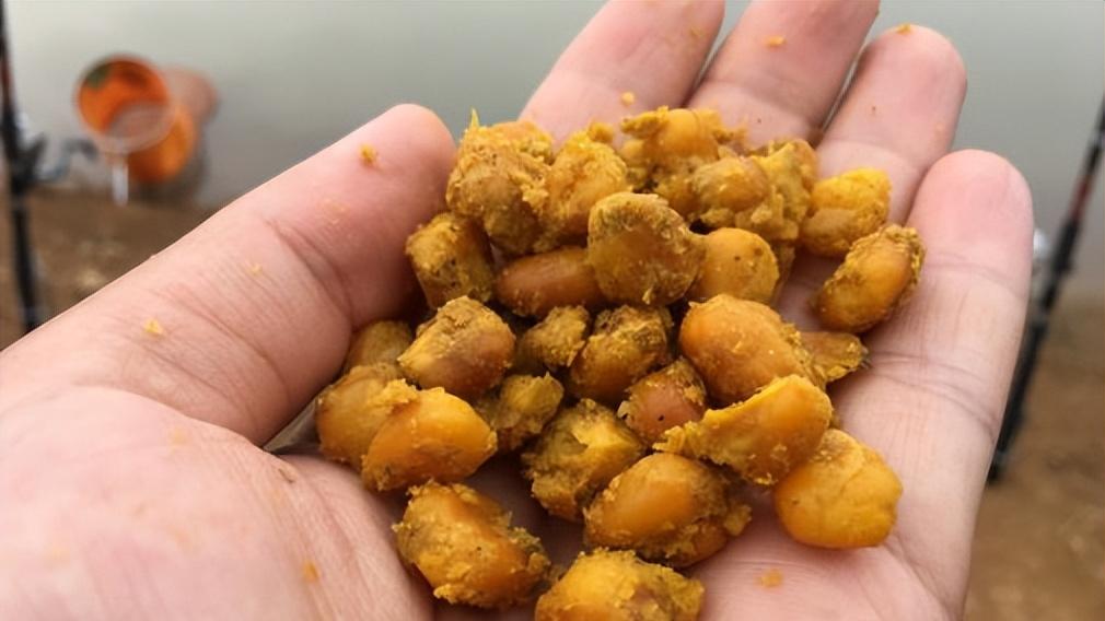 |钓底层鱼时有一种奇特现象，决定了打窝和补窝，你做对了吗？