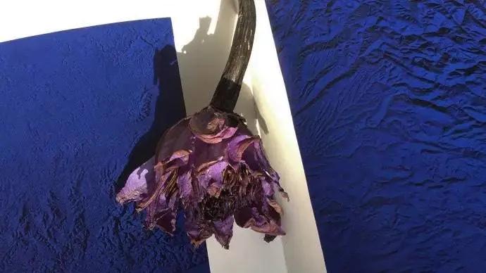 跨境电商|网易云热评||不求不妄，苦乐自当