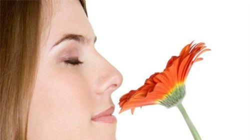 嗅觉是怎么产生的？人类的感知能力真的弱爆了吗？