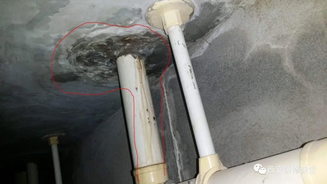 卫生间外墙发霉脱皮，怎么处理好？