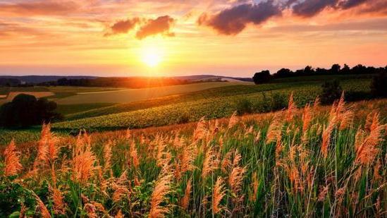 创业|当九月不再是开学季