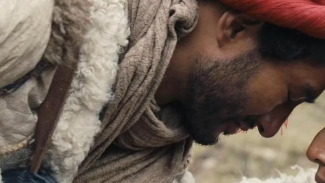 胡八一|《昆仑神宫》：初一重情重义又勇敢，惹人喜爱的角色