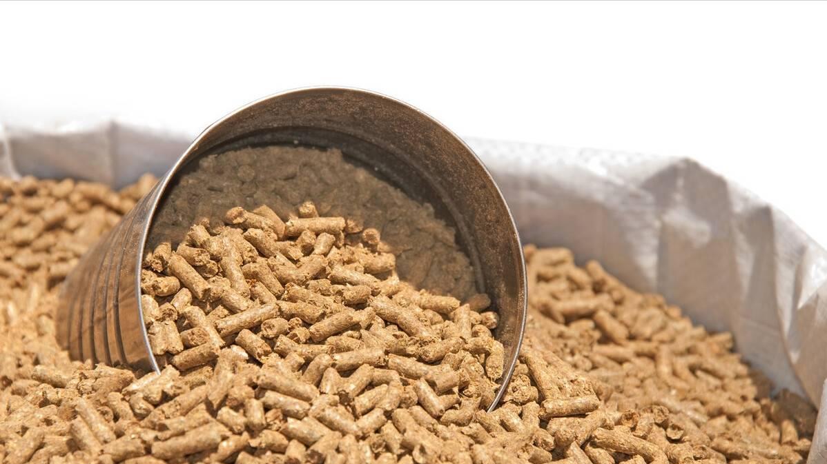 饵料|鸭饲料也能钓鱼？搞懂鸭饲料的三个特性，不愁鱼儿不开口