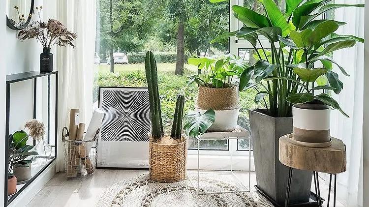 清新雅致的61㎡小家，有一套这样的单身公寓，我也不想嫁人了！