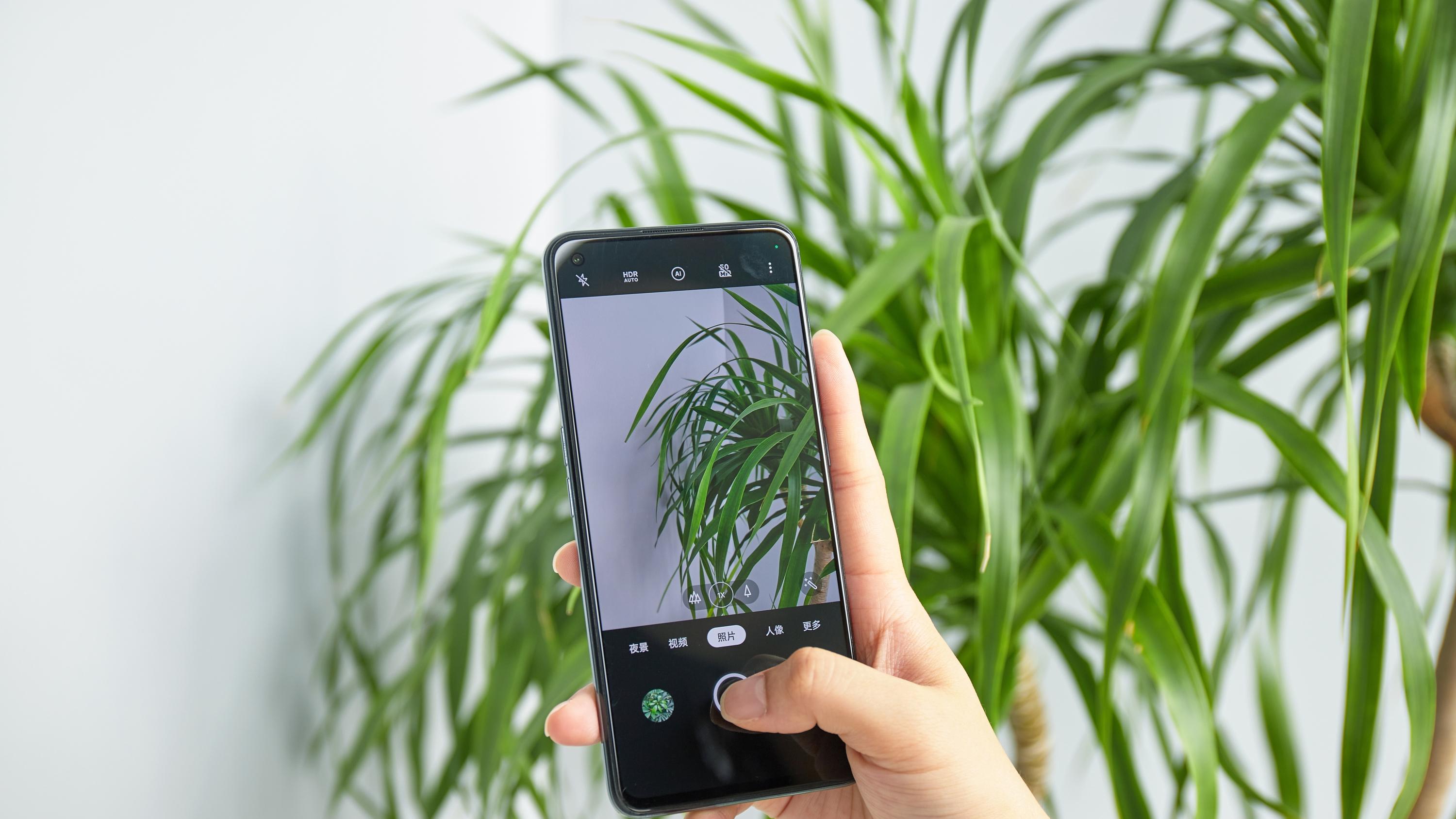 英伟达|双十一最后一天！这些好物别错过，三台性价比神机闭眼买