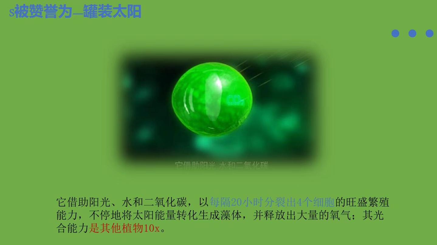 小球藻被誉为“罐装的太阳”