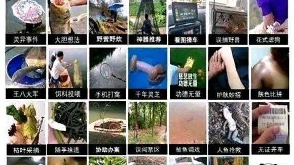 饵料|钓鱼人偷鸡摸狗？告你毁谤你知道吗！都是永不空军给害的