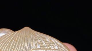 和田玉籽料|清 和田玉籽料 白玉沁色 利市三倍 把件挂件