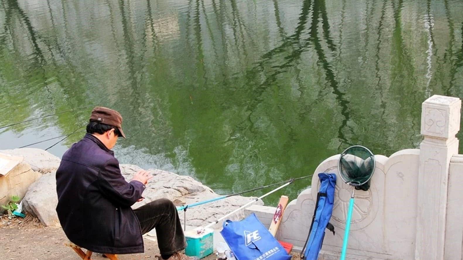 |钓鱼人有分类，喂鱼是其中之一，钓友你属于哪一类