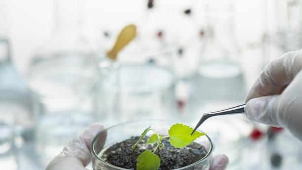 科学家发现了一种奇怪的“生物”