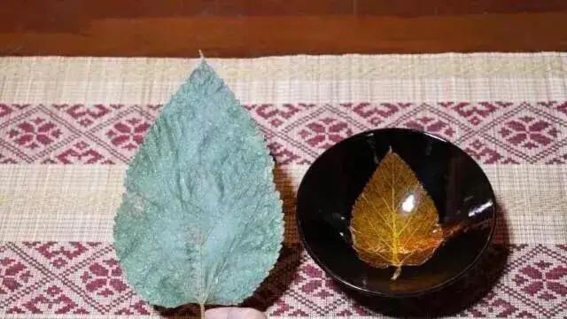小伙带破碗去鉴宝，引来一阵嘲笑！专家倒入清水之后，大伙都不敢笑了！
