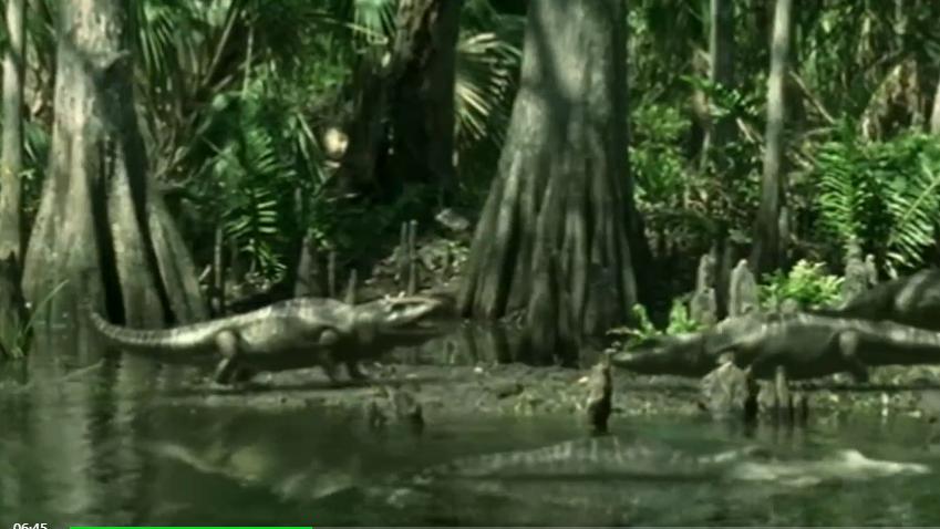 爬行动物还是两栖动物！至今存疑的原水蝎螈才是石炭纪森林中的霸主！