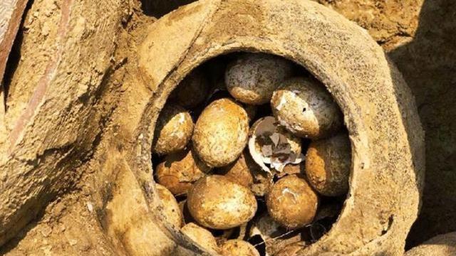 考古人员为什么非常害怕在古墓中发现鸡蛋呢？有什么道理吗？