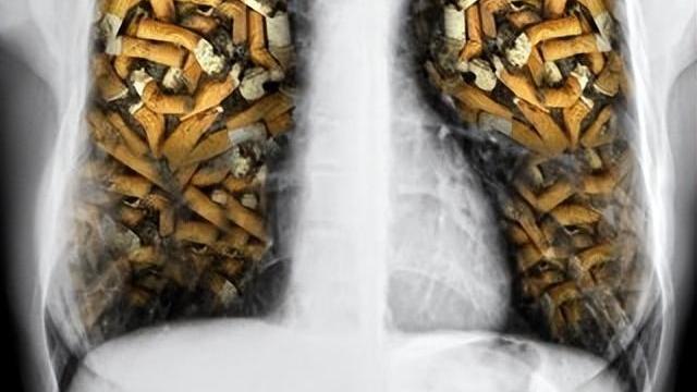 每包香烟涨到59元，才能实现控烟目标！为何不直接关闭烟草厂？