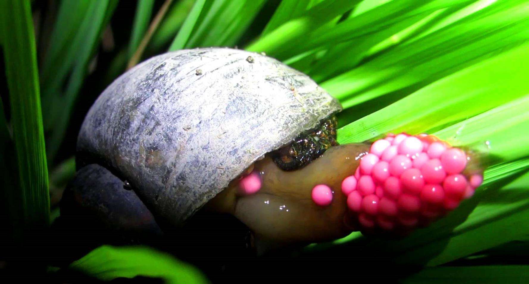 |大妈求垂钓小伙放生被拒后报警，警察却帮小伙说话，大妈有点尴尬