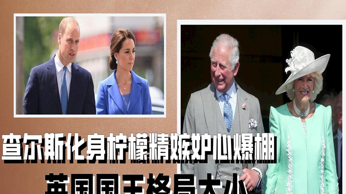 威廉|查尔斯化身柠檬精嫉妒心爆棚，英王格局太小为抬高自己拉踩凯特