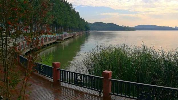 武汉东湖|拥有百余公里绿道的武汉东湖，风景能媲美西湖，你确定不来看看吗