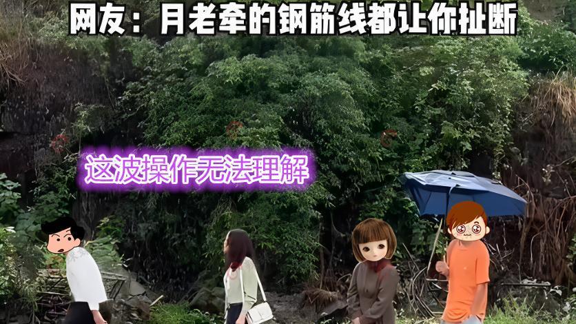 女孩没带伞躲进男子伞下避雨，男子竟把伞扔掉，网友：凭实力单身