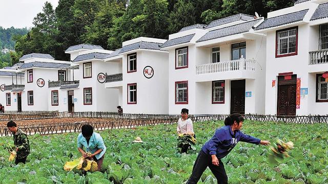 华润置地|农村将迎来“统一搬迁”，选房子还是选钱？3类房子不再享受补偿