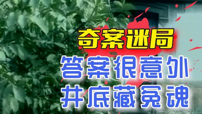 2011年，河北“儿媳杀婆”奇案迷局：答案很意外，井底藏冤魂！