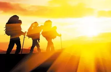 |职场中如何与人协作的重要原则就是互利共赢？