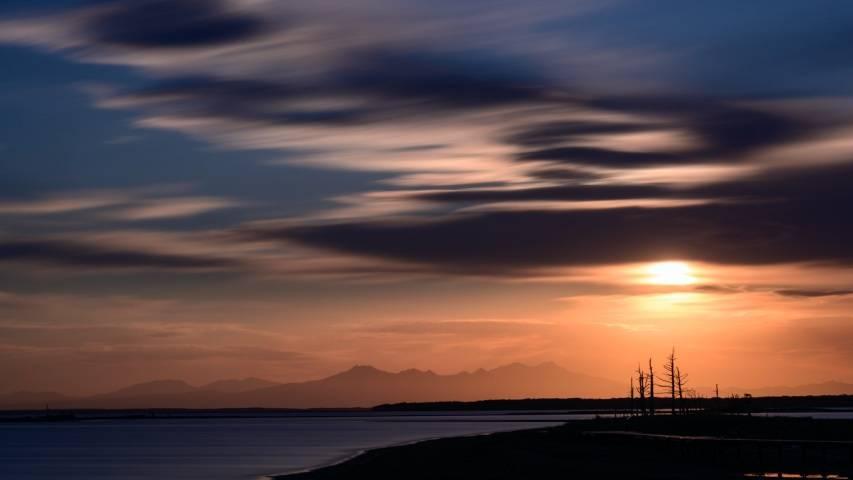 底牌|家电市场竞争的最后一张底牌出现了