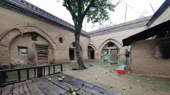 地坑院里大酥梨落得满地都是，70岁大娘说烂了也不让吃，啥情况