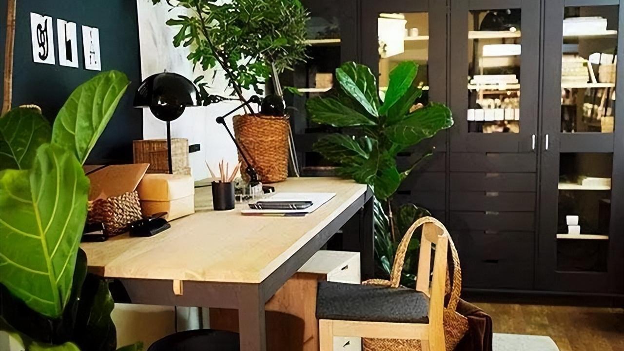 恕我直言，家居养花不能“地摊”式养，这样才能养出高级感