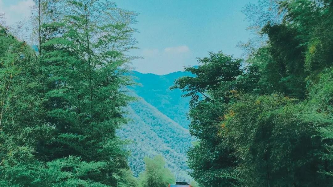 张北|不是杭州，人称小洱海！山间堪比天然空调，1秒穿越到新西兰，竹海小火车超治愈！