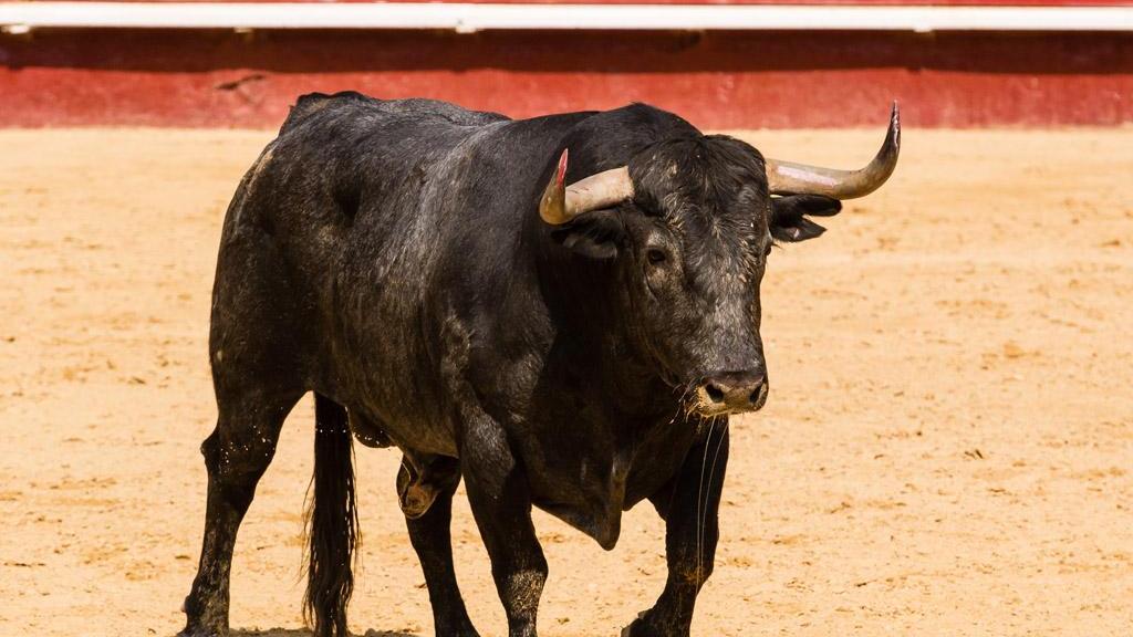 底线思维|专家给小老百板们提了个醒：要有底线思维