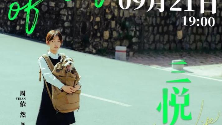 职业教育|三悦有了新工作，大部分演员的表现可圈可点，是一部职业剧