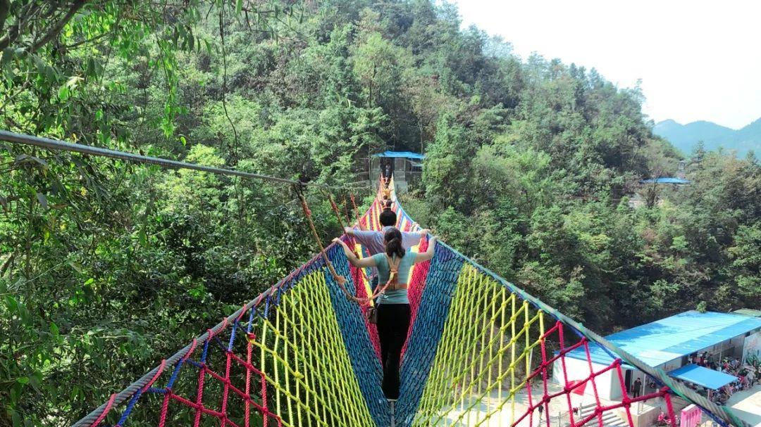 荷花|期盼已久的云台山风景区之旅