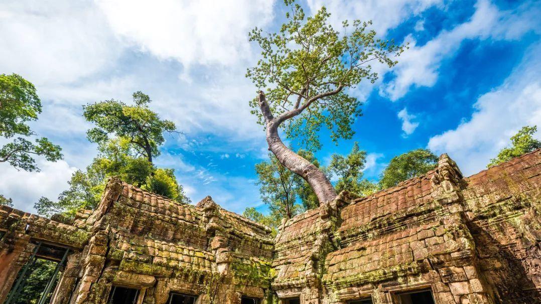 旅游业|探寻柬埔寨，一眼千年的微笑之旅