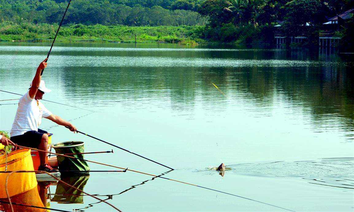 |总是切线跑鱼怎么办？别着急，这三个方法轻松解决